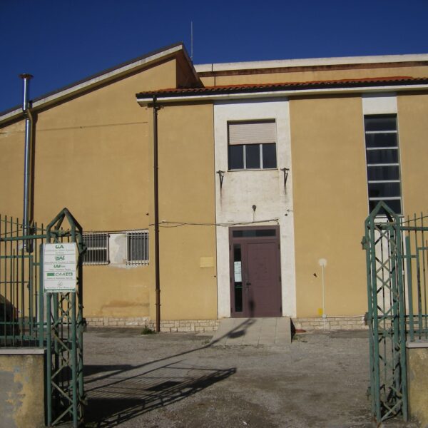 IMGP0298