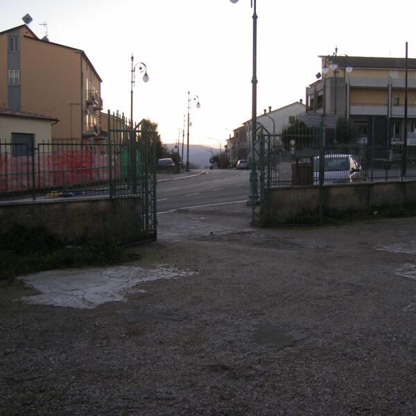 IMGP0354